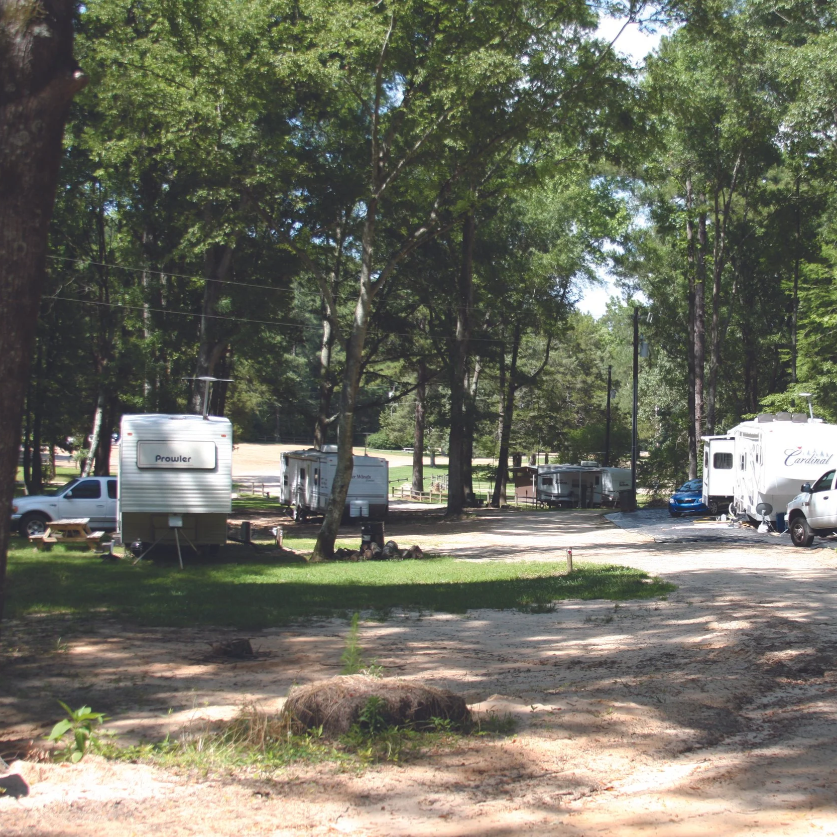 Camper trailers and parked vehicles in a shady, wooded campground with trees and dirt roads.