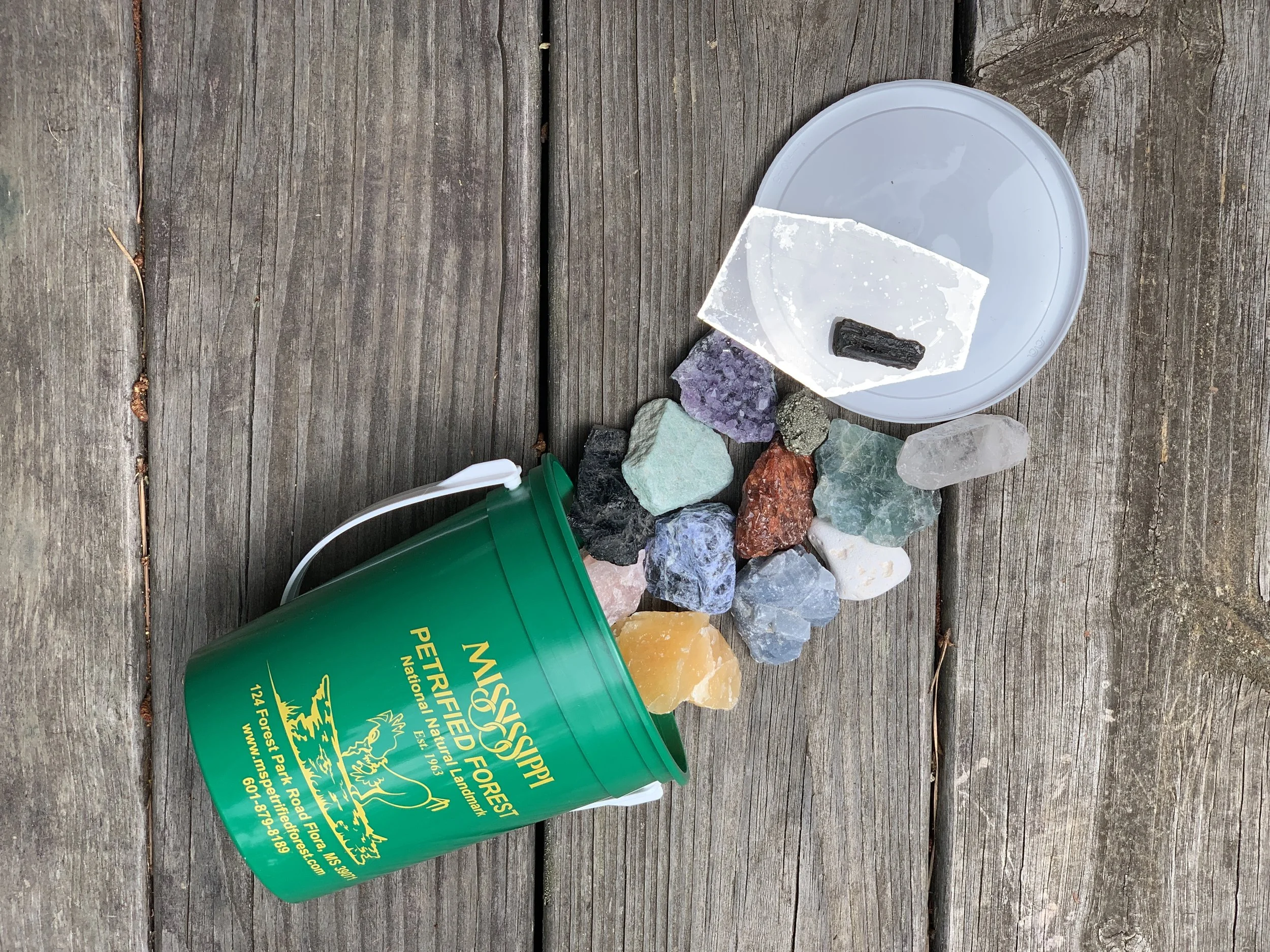 A small, green plastic bucket with the Mississippi Petrified Forest information laying on its side on a wooden floor. Various colorful semi-precious minerals are arranged coming out of the bucket and onto the bucket's white lid.