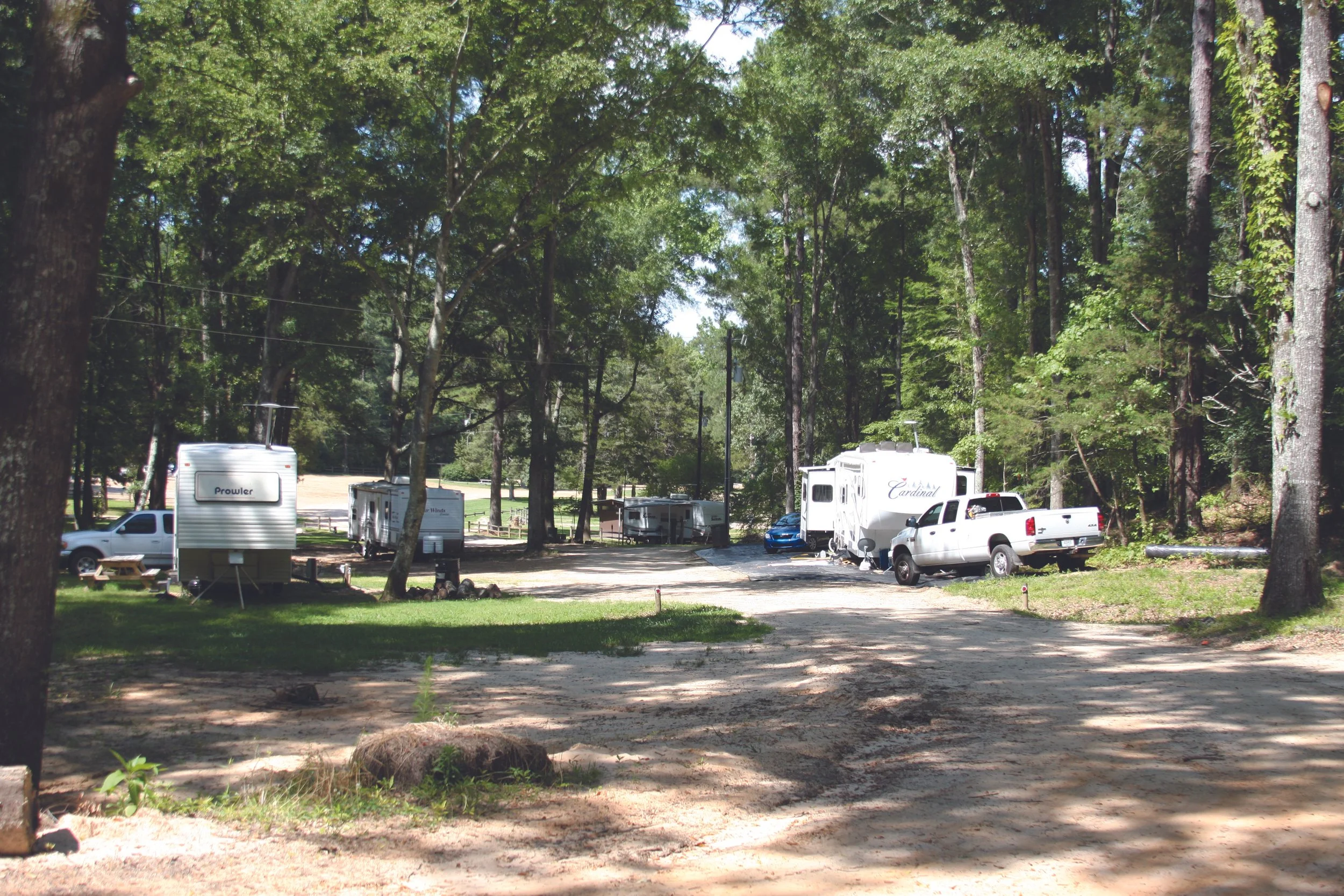 A campsite in a wooded area with several recreational vehicles and trucks parked among the trees. The ground has patches of dirt and grass, and there are tall trees with green leaves overhead.