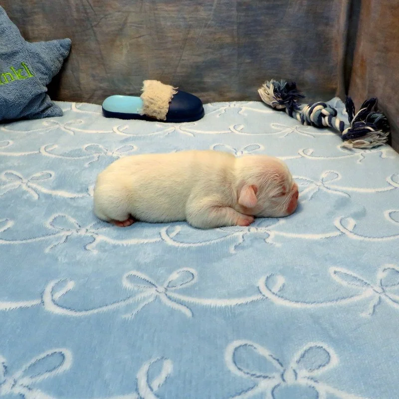 cha7262604.JPG