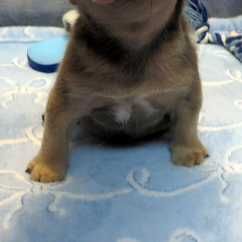 hop5526026.JPG