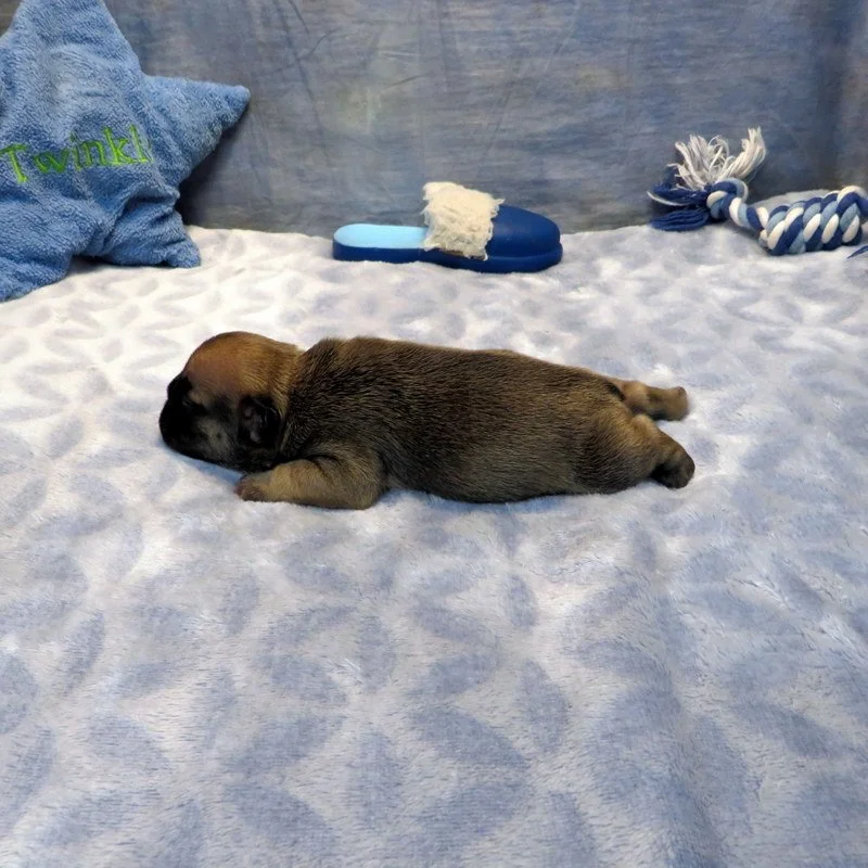 ros73026033.JPG