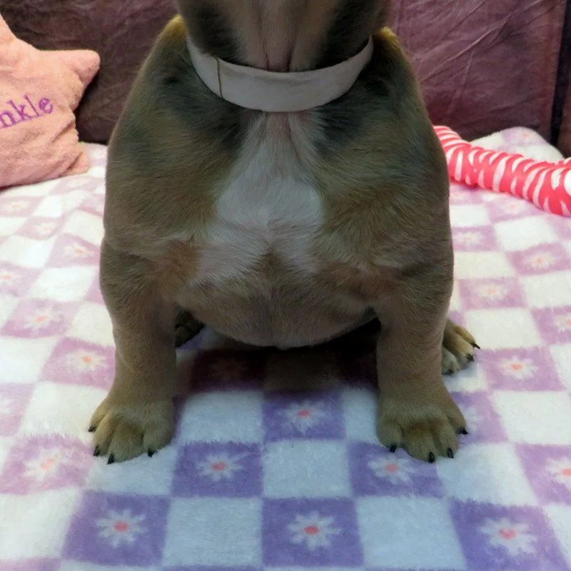 hop5292606.JPG
