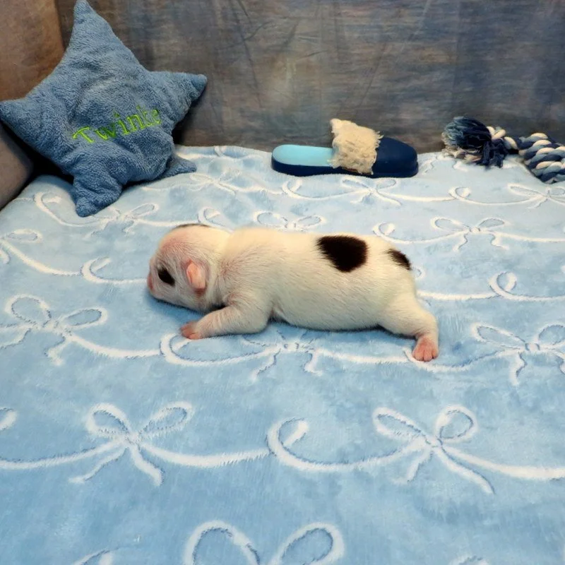 cha72626024.JPG