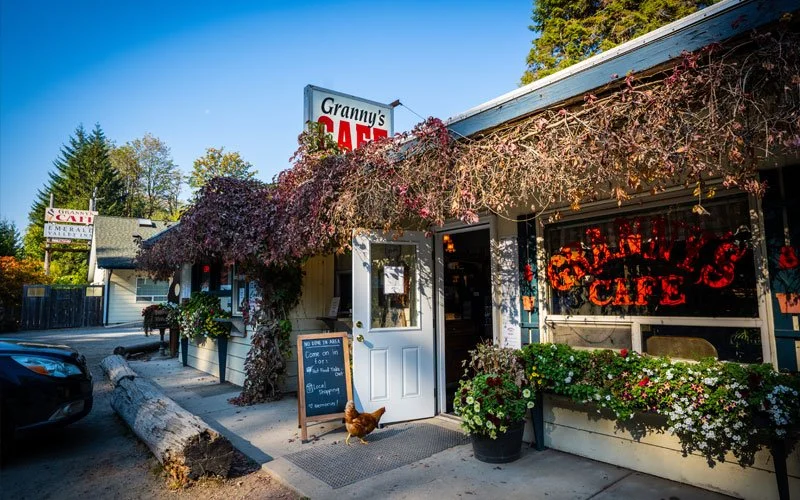 A quaint cafe storefront with flowering vines hanging over the entrance, a chalkboard sign outside, and a small chicken near the door. A car is parked on the street, and trees with autumn foliage are in the background.