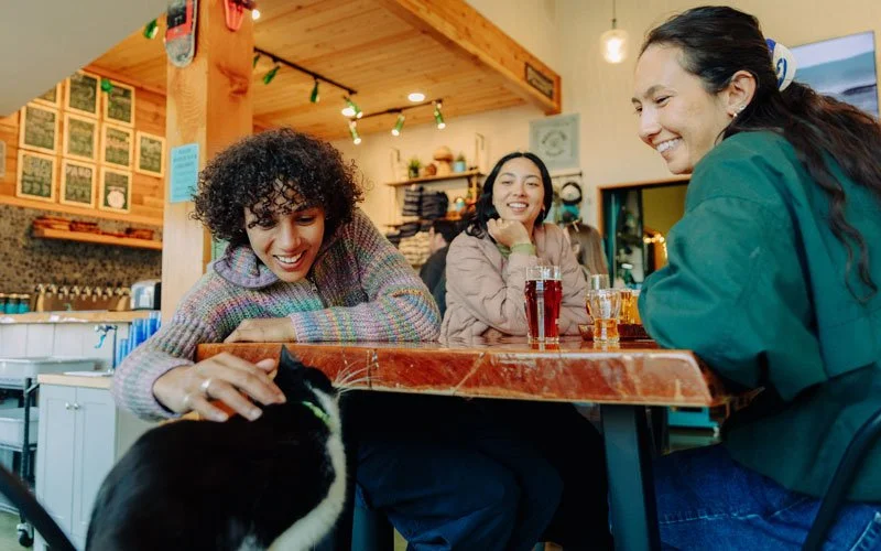 Three women sitting at a table in a cozy, warmly decorated cafe, petting a black and white cat on the table, with drinks in front of them, all smiling and enjoying their time.