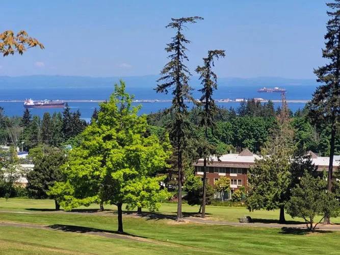 View of a scenic park with green grass, various trees, and a building, overlooking a body of water with ships in the distance.
