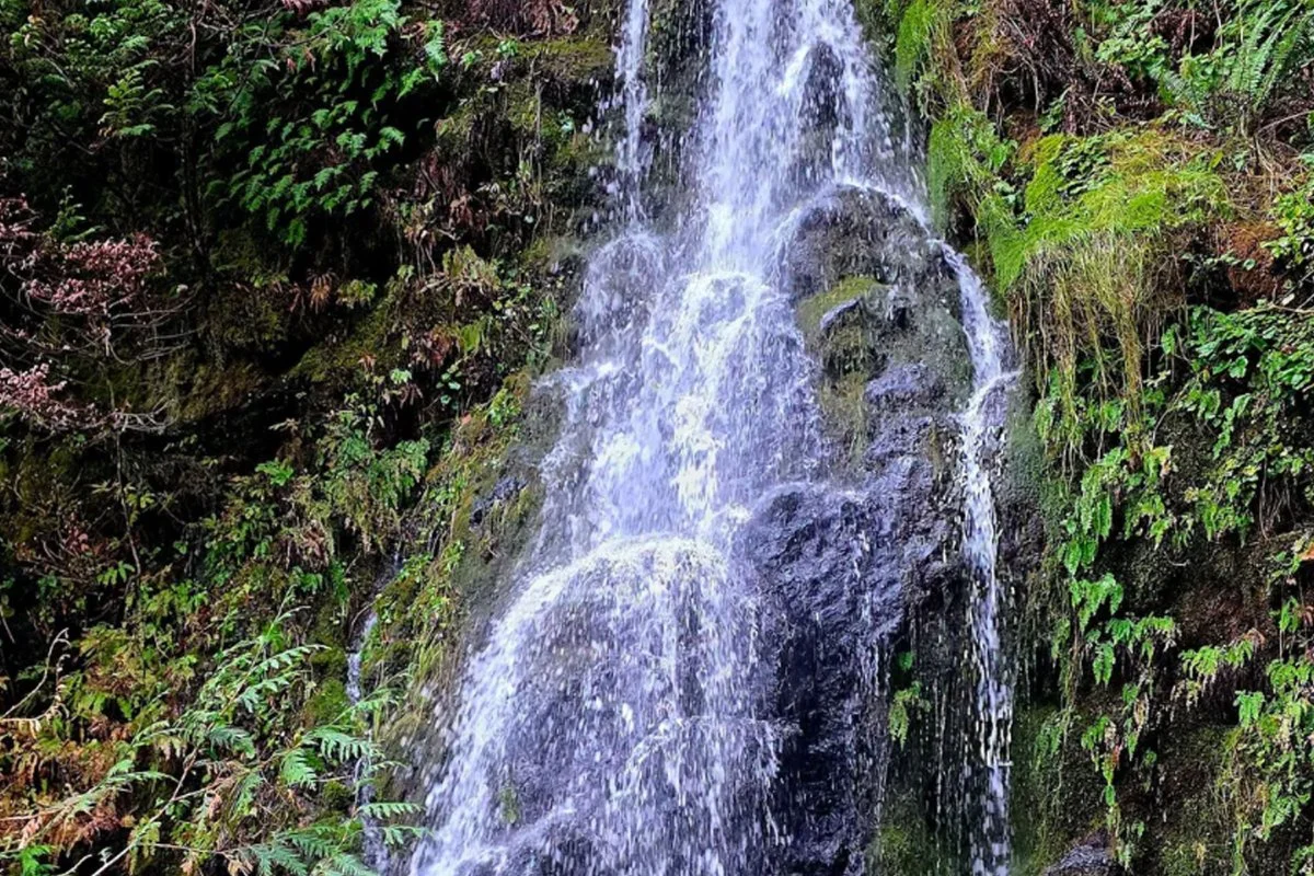 Olympic Peninsula Waterfall Trail: Hike to Striped Peak Falls Near Port Angeles