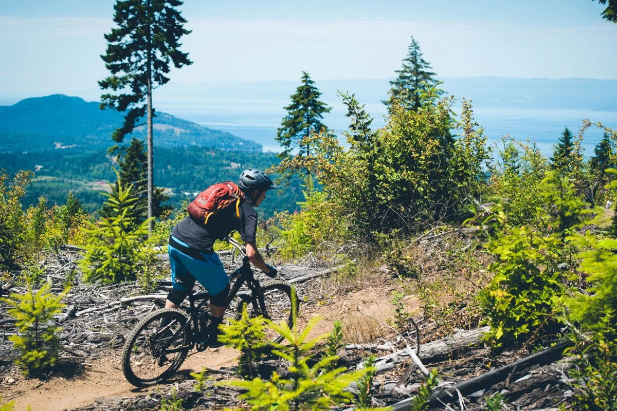Best Mountain Biking Trails Near Olympic National Park