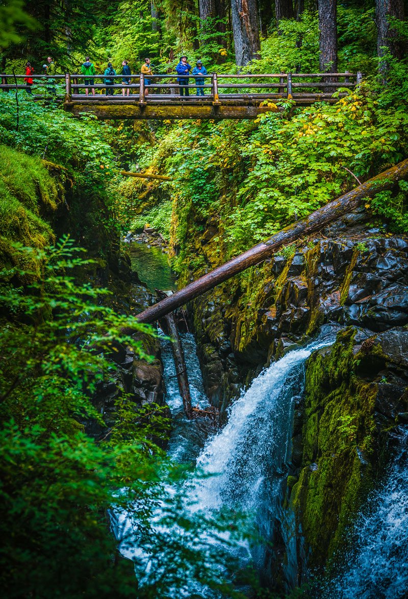 sol-duc-falls-hiking-trail-port-angeles-wa-1.jpg