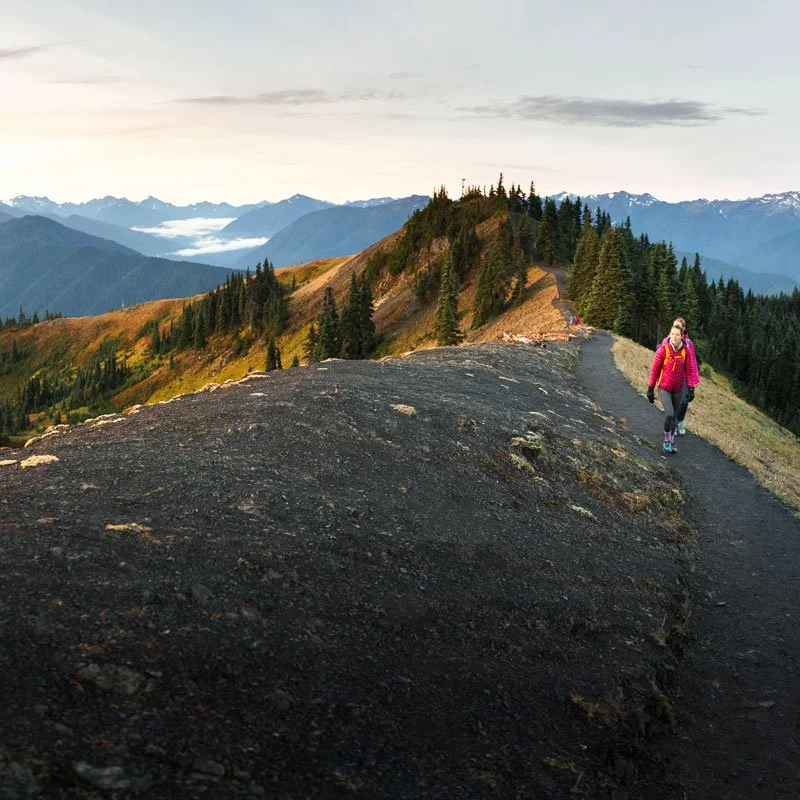 hike-hurricane-ridge-olympic-national-park.jpg