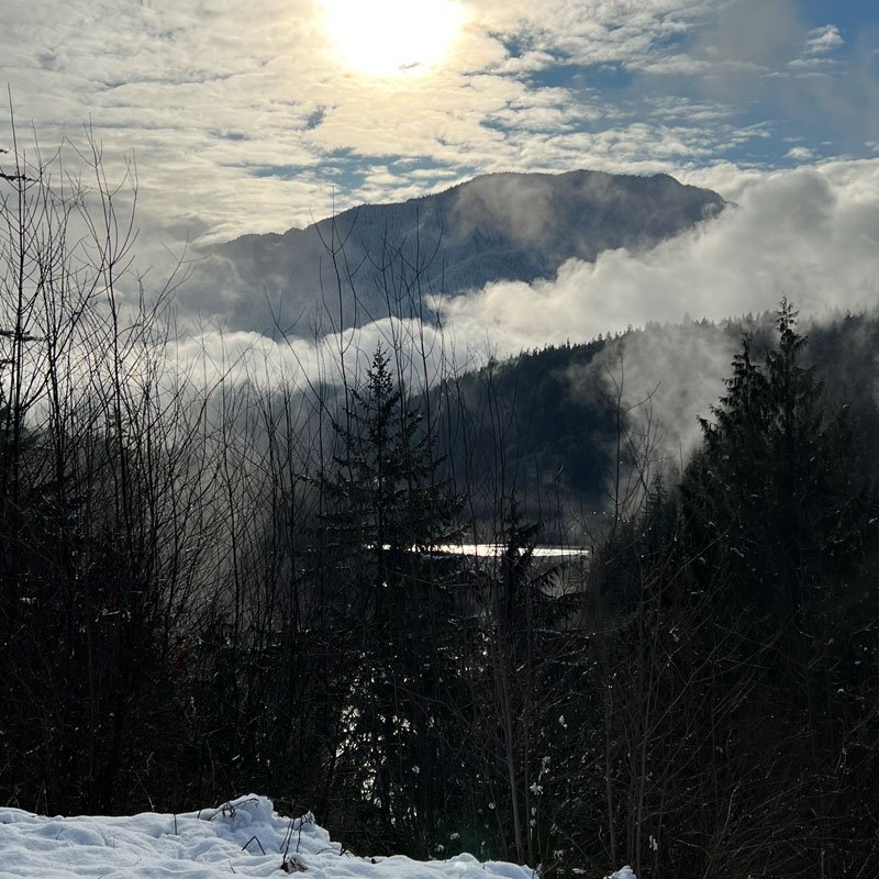 olympic-national-park-port-angeles-wa-the-roamies.jpg