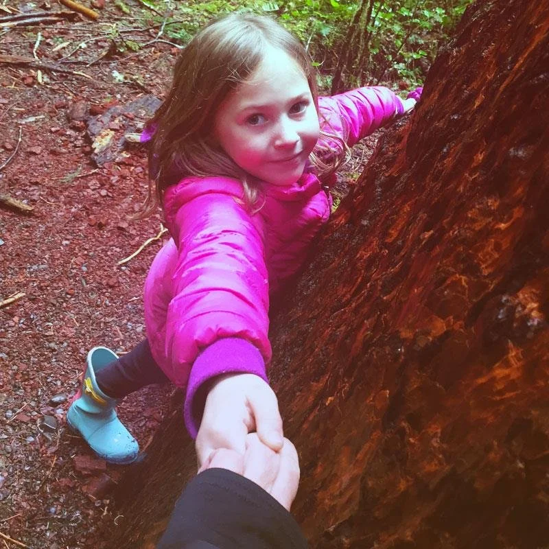 tree-hugging-port-angeles.jpg