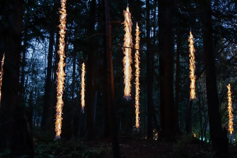 LightArt2023-21.jpg