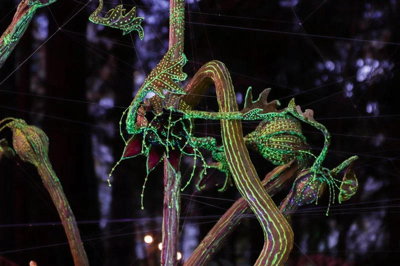 LightArt2023-02.jpg