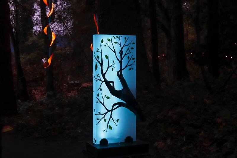 LightArt2023-66.jpg