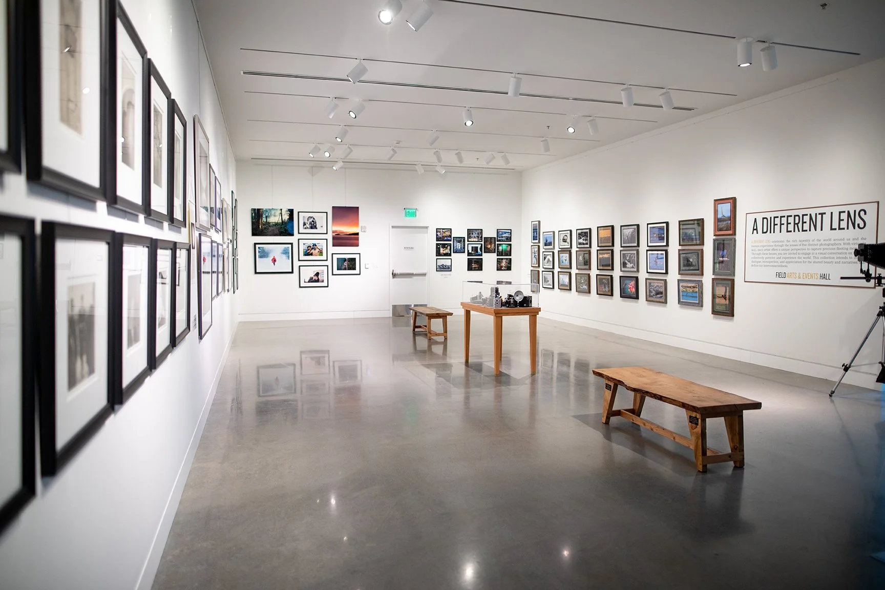 port-angeles-gallery-opening-field-hall.jpg