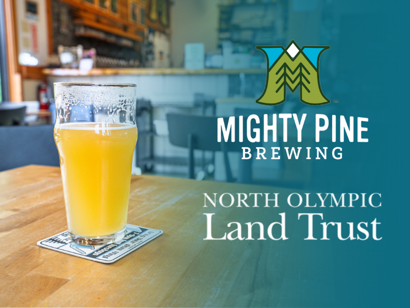 Worthy Wednesday with North Olympic Land trust at Mighty Pine Brewing