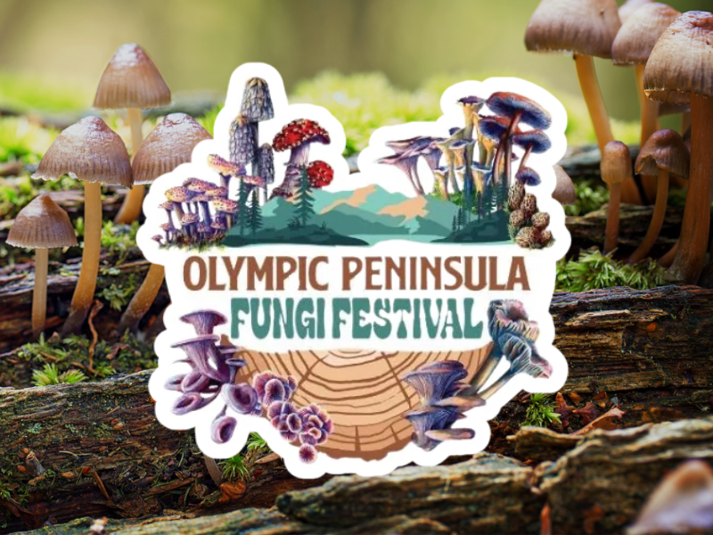 Olympic Peninsula Fungi Festival in Port Angeles 2027