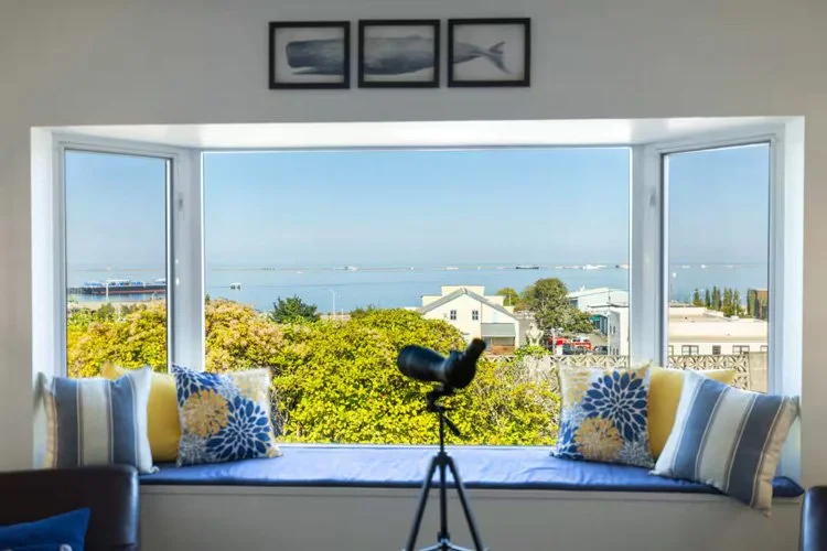 View from a window seat overlooking trees, houses, and water with a horizon line, with a telescope pointed out the window.