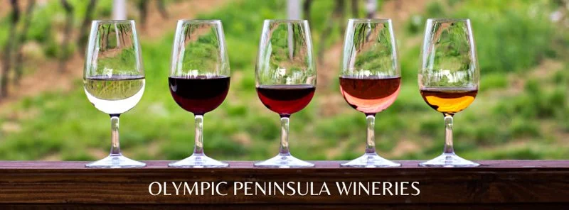 Five wine glasses filled with different types of wine on a wooden surface with "Olympic Peninsula Wineries" written on it. Behind the glasses, a green, blurry outdoor background.
