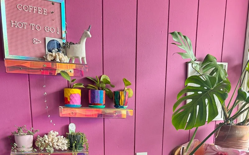 Pink wall decorated with shelves holding potted plants and a plush unicorn, with a pink letter board message reading "COFFEE HOT TO GO" and a large Monstera plant in a pot.