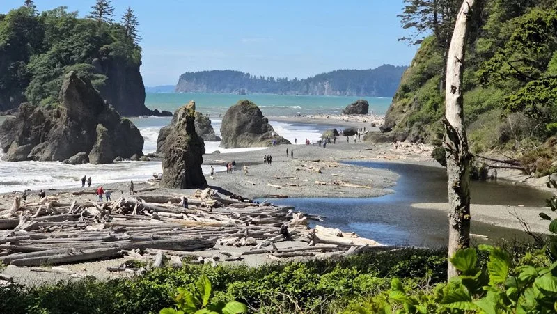 A scenic coastal view of a beach with large rocks, driftwood, and people walking along the shoreline, with green trees and cliffs in the background.