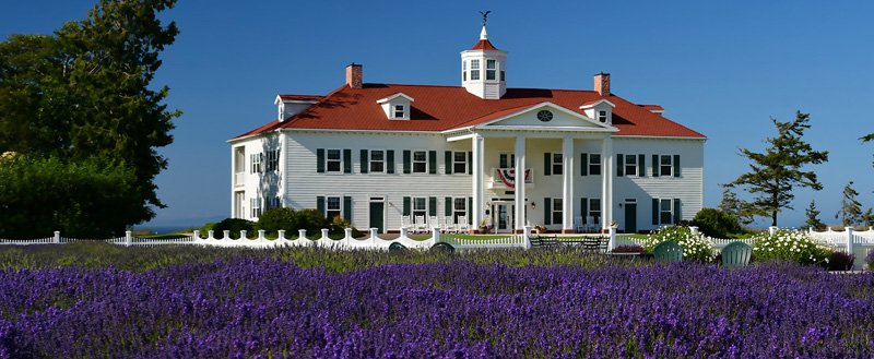 A large white house with a red roof and cupola, surrounded by lavender fields, green shrubs, and trees, under a clear blue sky.