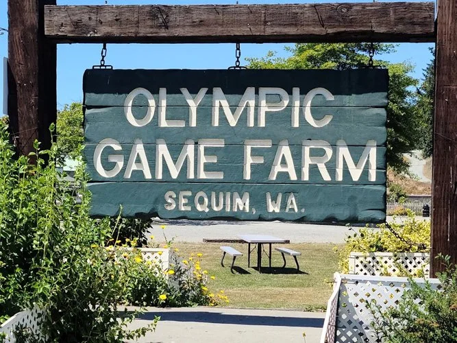 Wooden sign hanging from a frame reading "Olympic Game Farm, Sequim, WA" with outdoor picnic tables and greenery underneath.