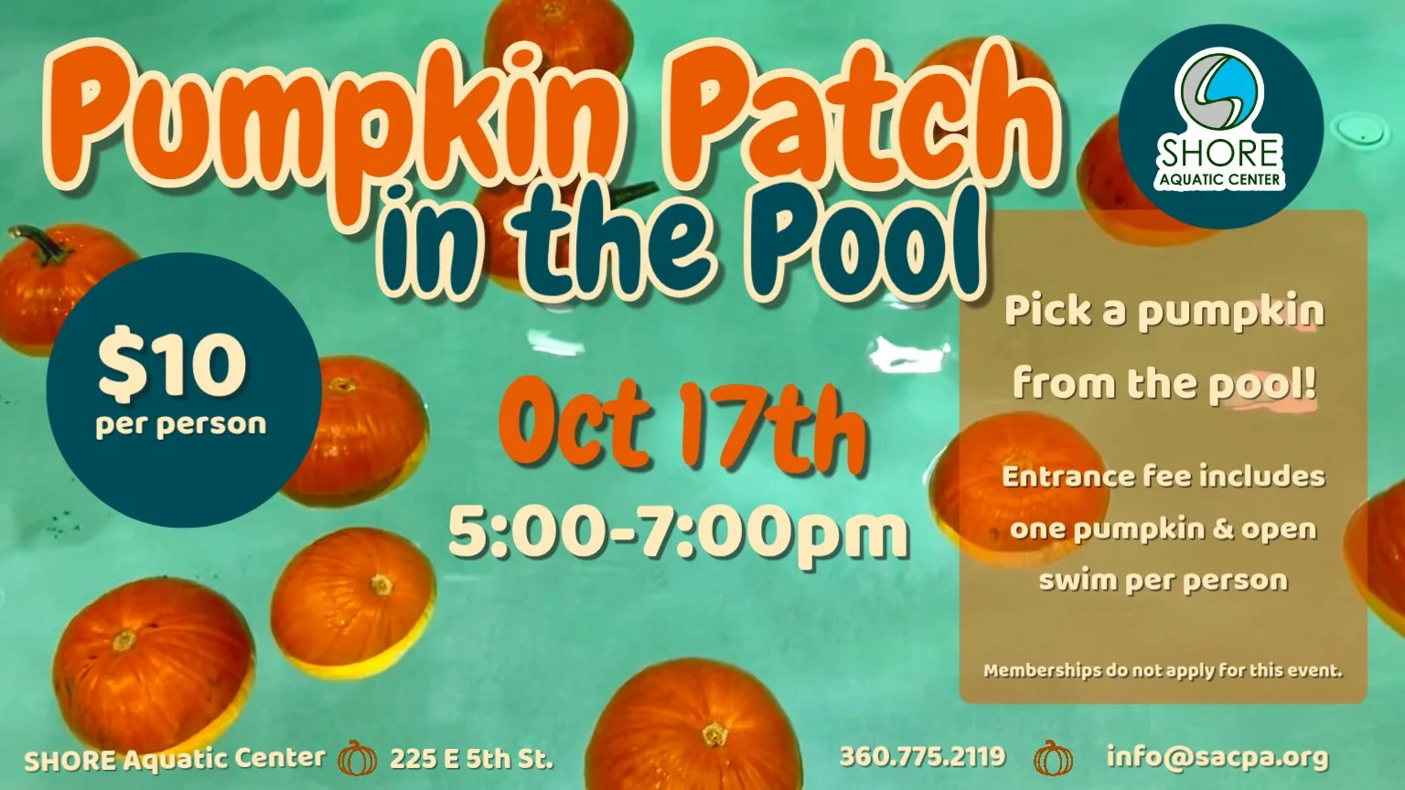 Pumpkin Patch in the Pool