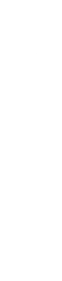 The word 'GOVERNMENT' written vertically in bold black capital letters.