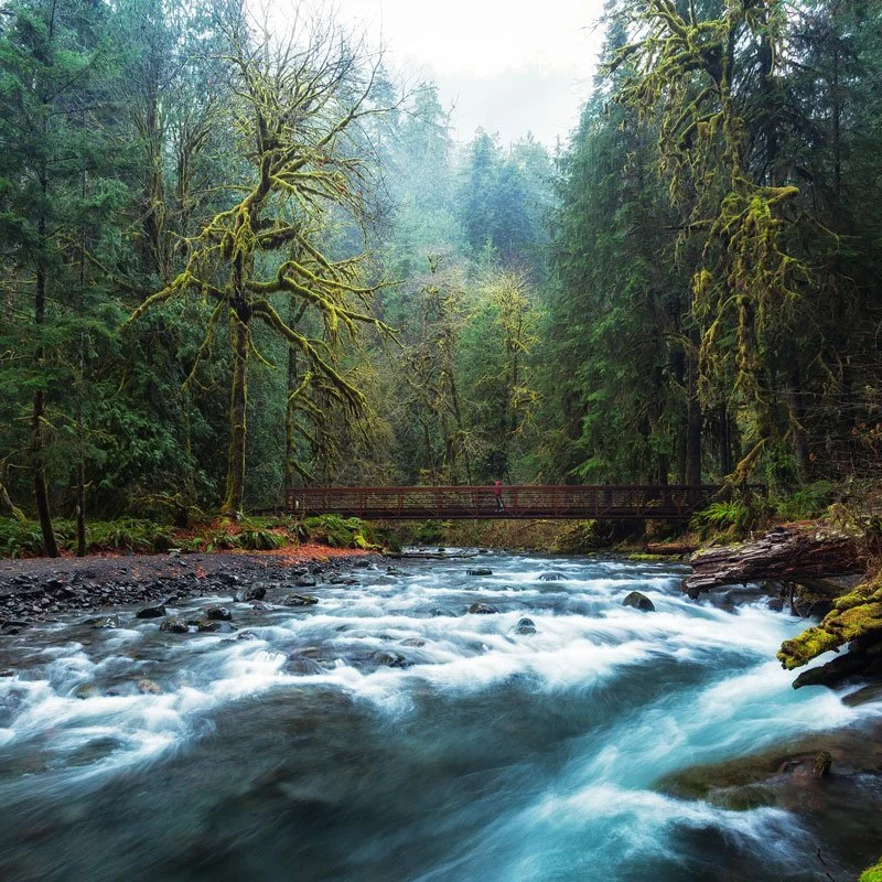 Wine & Waterfalls: A Weekend to Love on Washington’s Olympic Peninsula