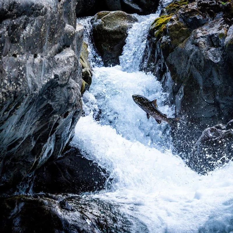 Fishing&nbsp;in Port Angeles