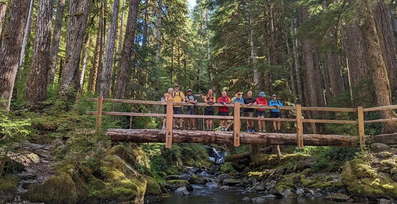 Group of people standing on a wooden bridge in a dense forest with tall trees and a small creek below.