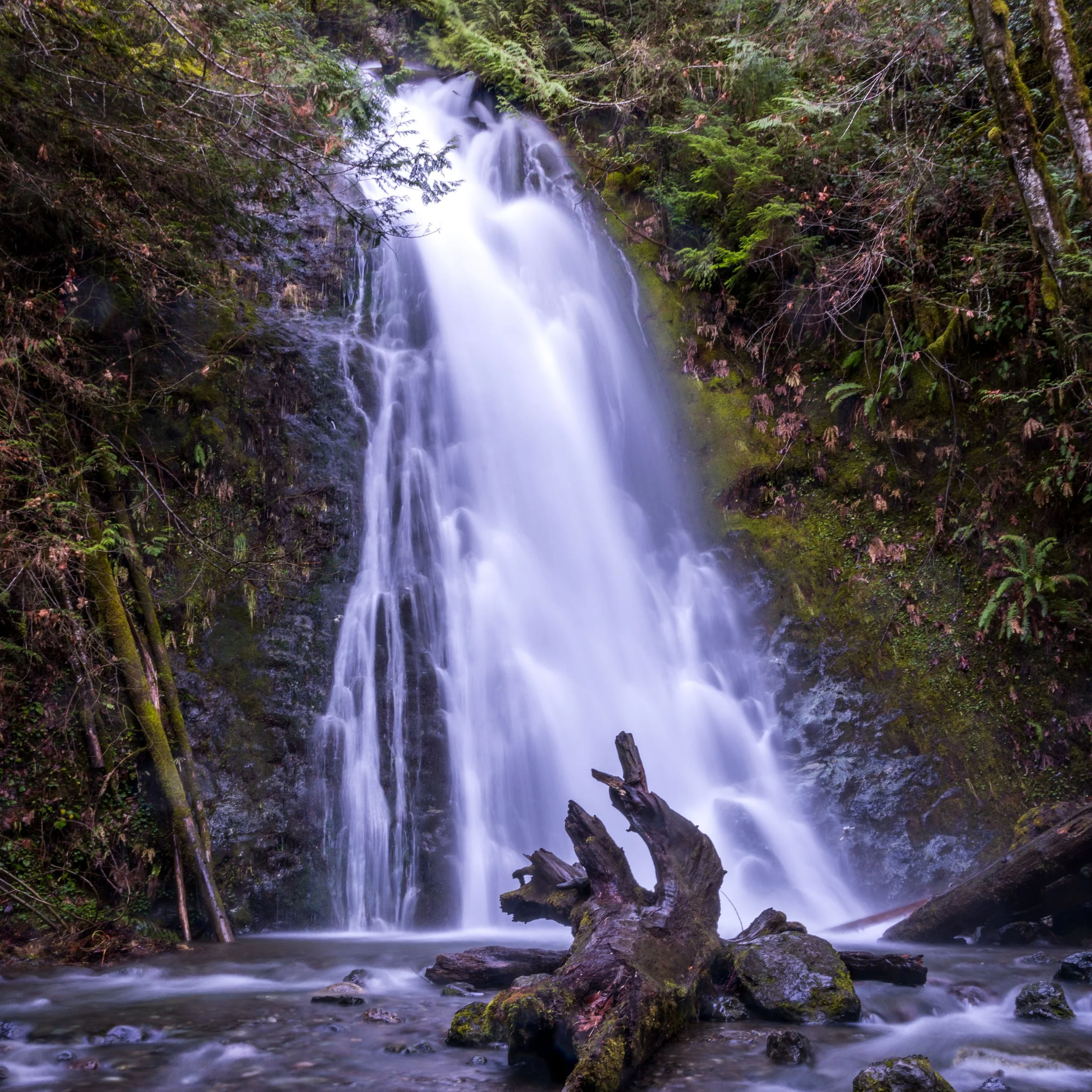 Madison Falls in Port Angeles, Washington