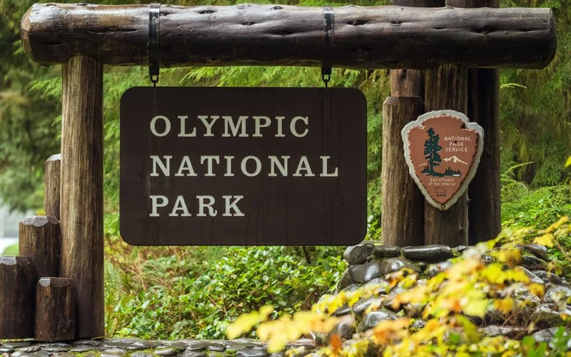 Wooden entrance sign for Olympic National Park with the National Park Service emblem to the right, surrounded by greenery.