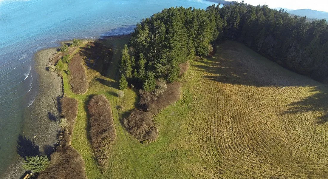 A drone shot of Lyre Conservation Area from above, where the trees and landscapes meet the ocean.