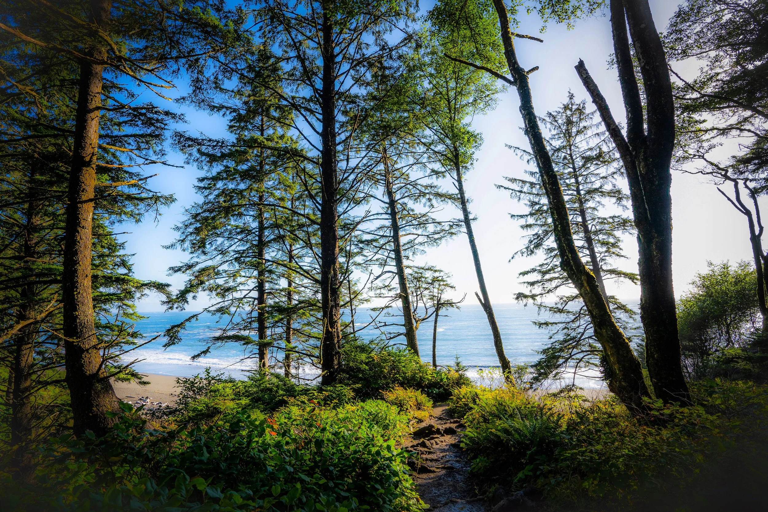 Beach Hikes Near Port Angeles, Washington