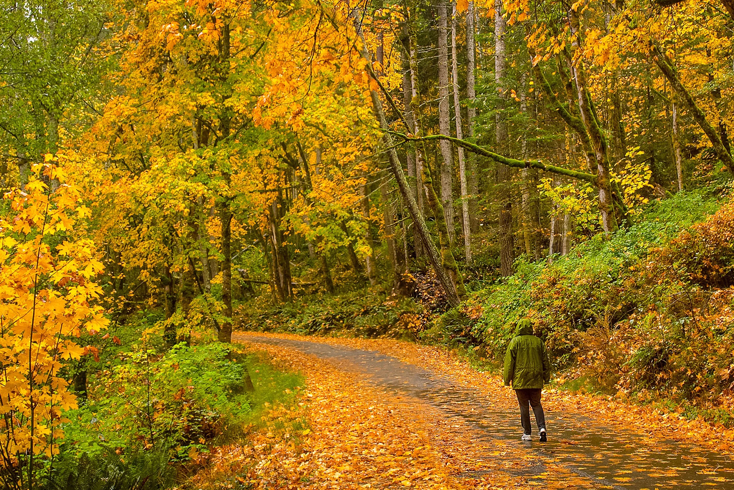 8 Reasons to Visit Port Angeles, Washington this Fall