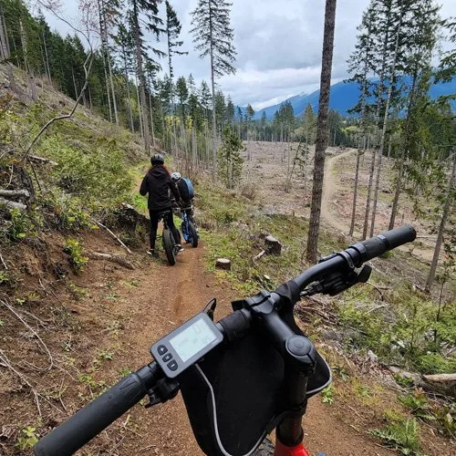 View from an electric bike on a dirt trail in a forested mountain area, with another cyclist ahead, carrying a backpack and riding an e-bike.