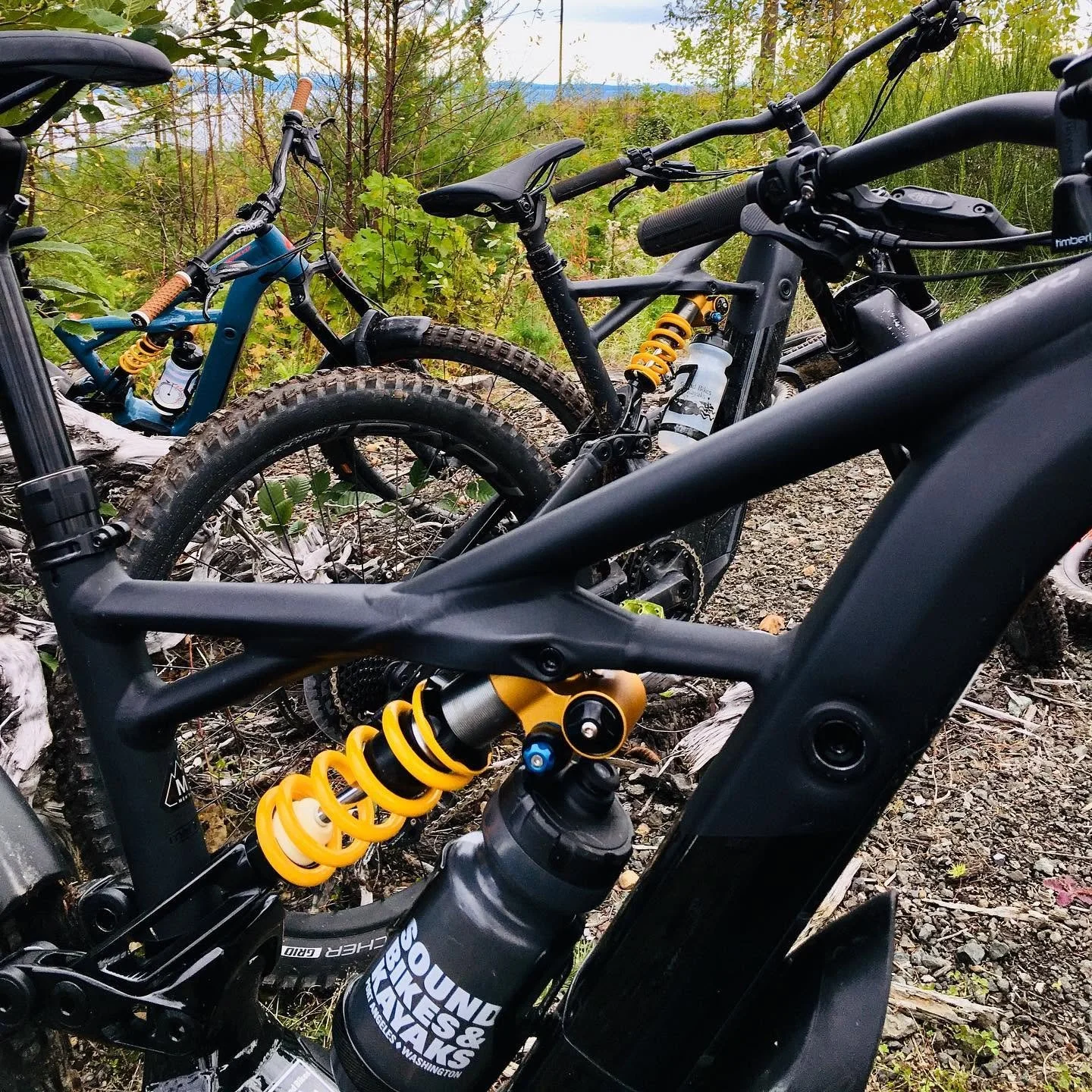 Mountain Bikes with a Sound Bikes & Kayak water bottle, parked in the Olympic Park woods.