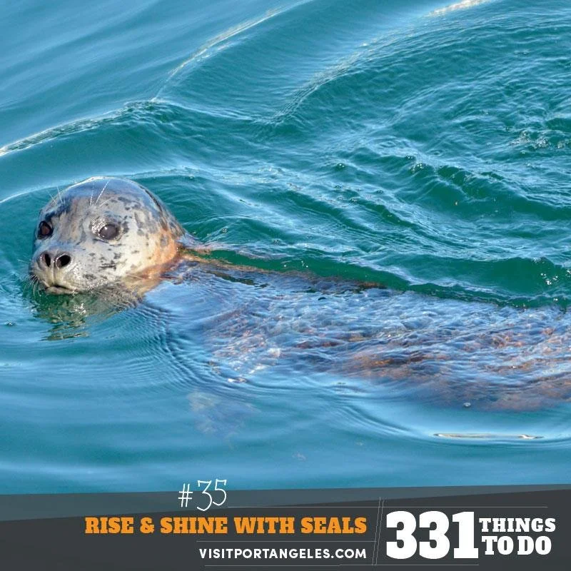 Sunrise Kayak Tour in the Harbor