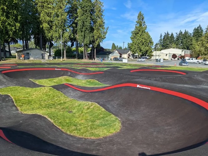 An outdoor mini golf course with black turf, red borders, and grassy areas, set against a background of trees and houses.
