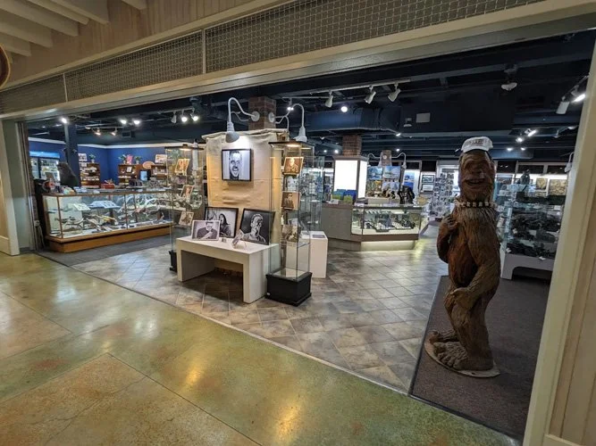 View of a museum or gift shop interior with display cases, framed photographs, and a large statue of a manatee wearing a hat, located at the entrance.
