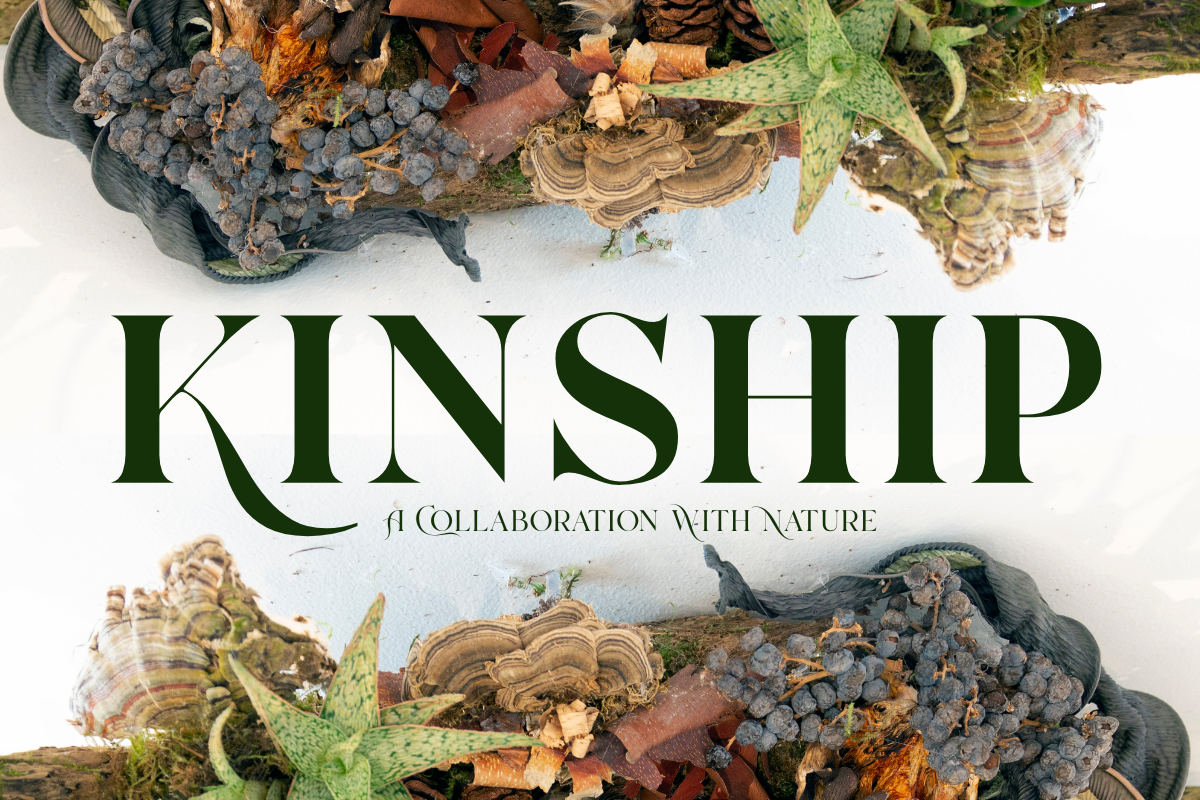 "Kinship: A Collaboration With Nature" Opening Reception
