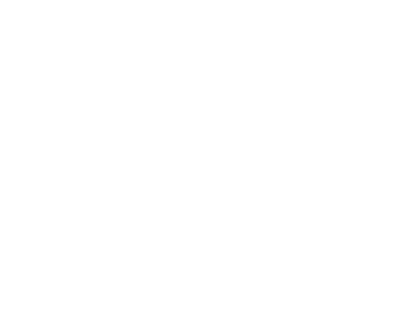 Silhouettes of four flying birds against a black background.