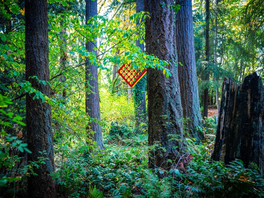 A forest scene with tall trees and dense green foliage. A small red and yellow sign with dots is attached to a tree in the middle of the scene.