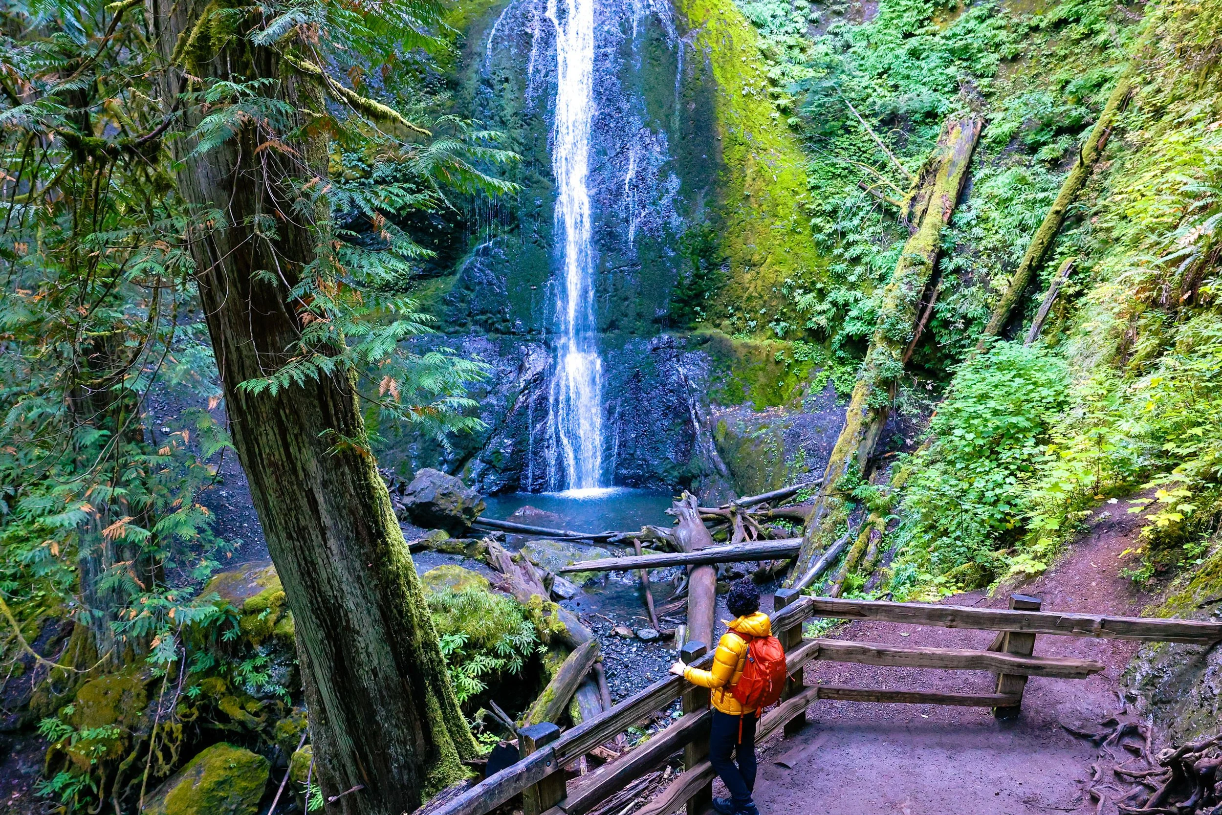 Olympic Peninsula Waterfall Trail: Hike to Marymere Falls Near Port Angeles