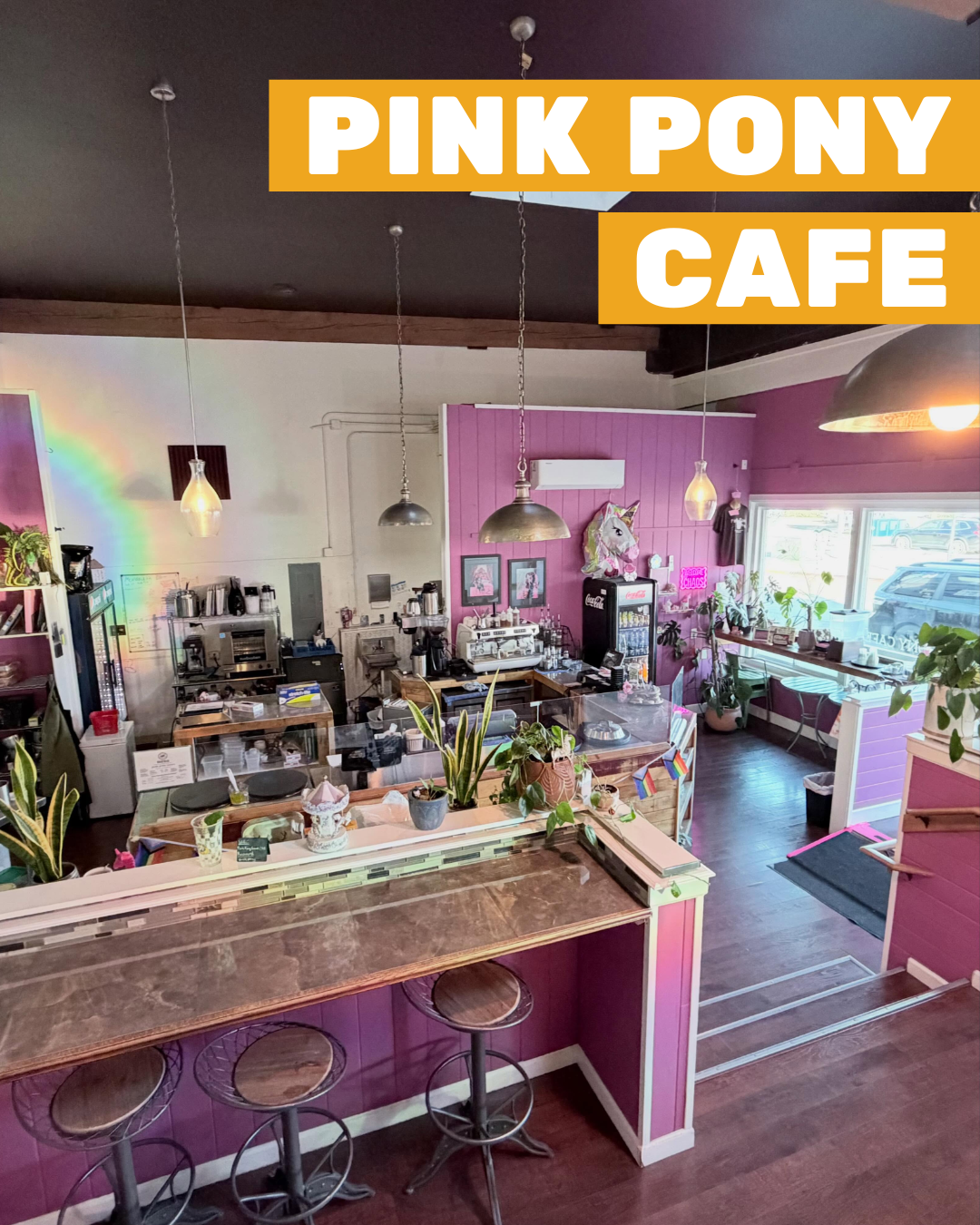 A photo of the inside of Pink Pony Cafe, with pink and white walls, funky fun decor, and various potted plants by the coffee station.