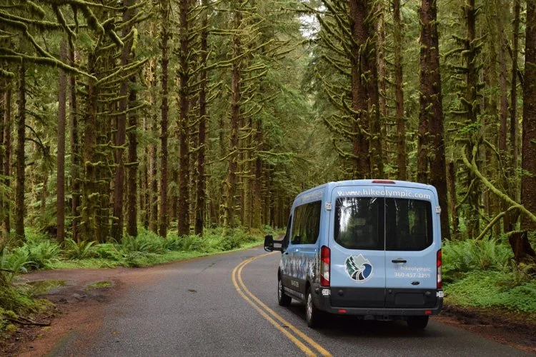 A blue van parked on a winding road surrounded by tall green moss-covered trees in a dense forest.